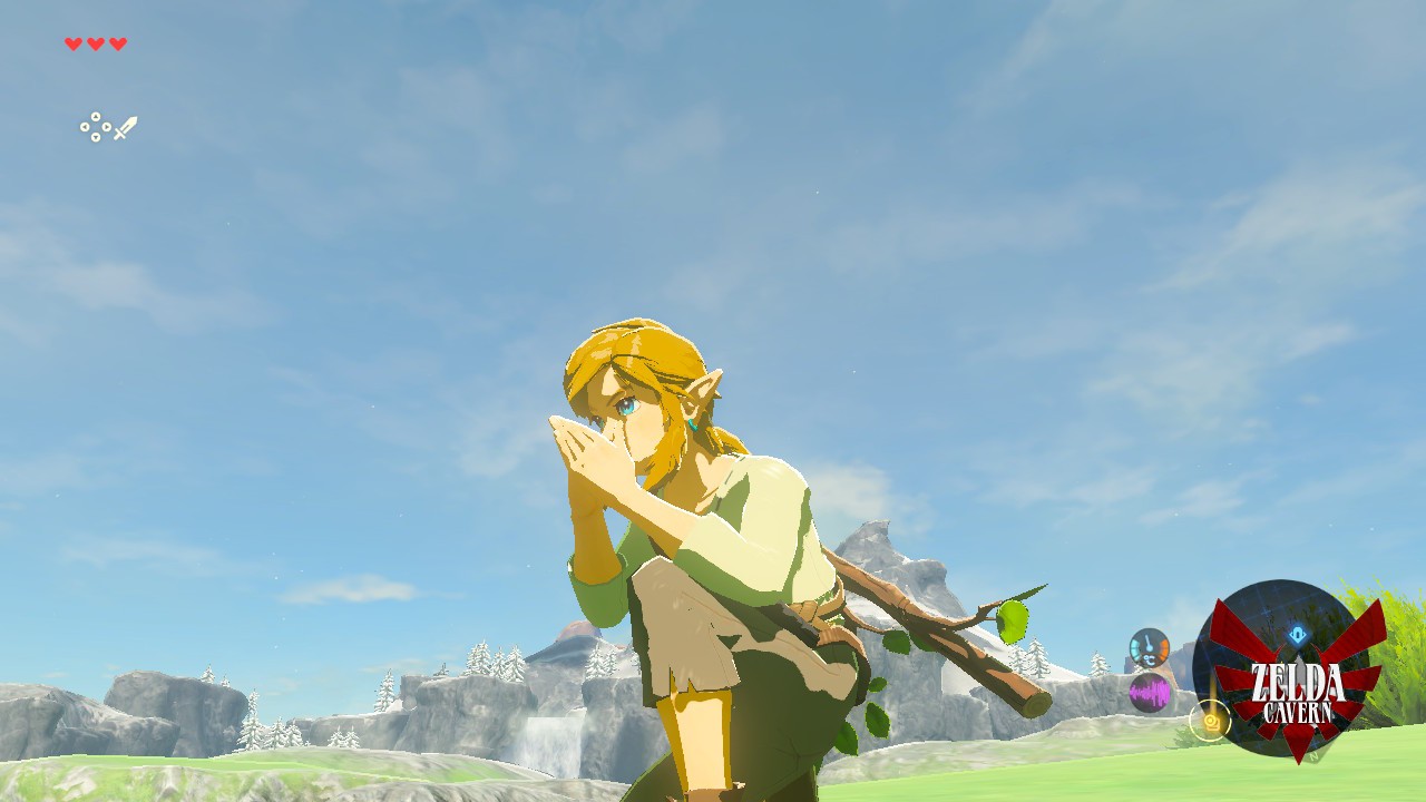 Link doing the bird whistling